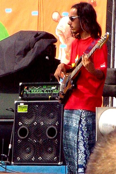 rock  gnawi